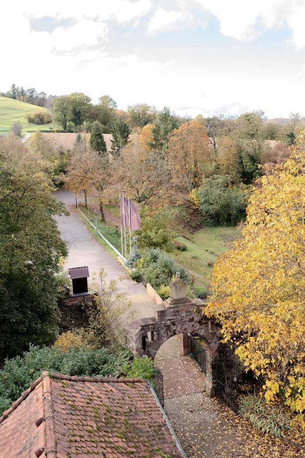 Eventlocation & Hotel Schloss Neuburg Obrigheim Buitenkant foto